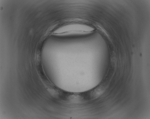 X0000081280119200702012228