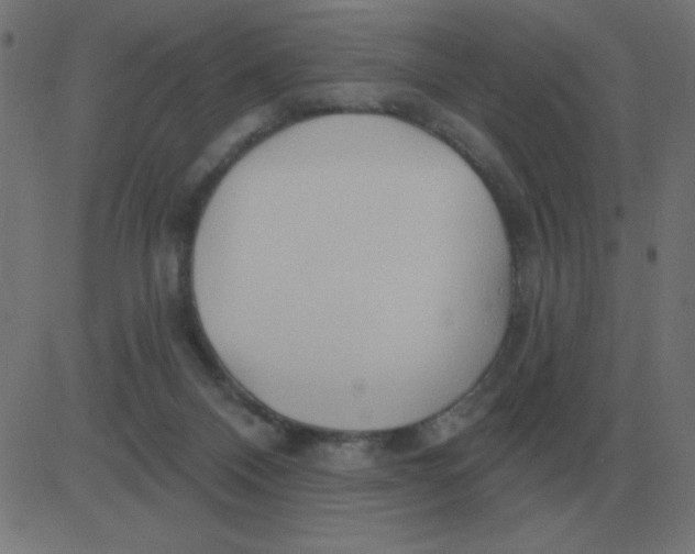 X0000081280120200702012228