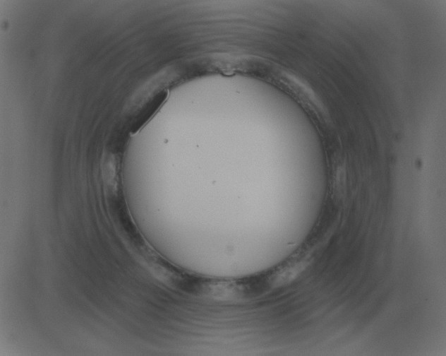 X0000081280121200702012228