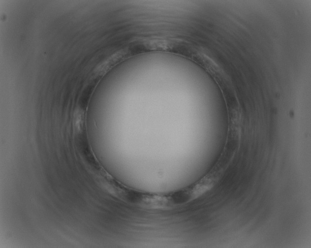 X0000081280125200702012228