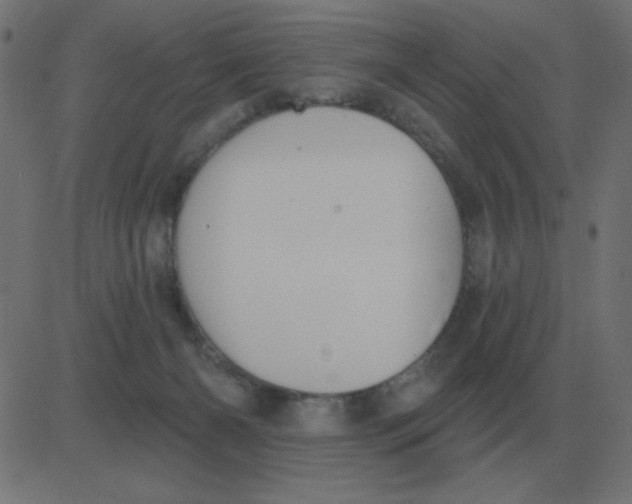 X0000081280126200702012228