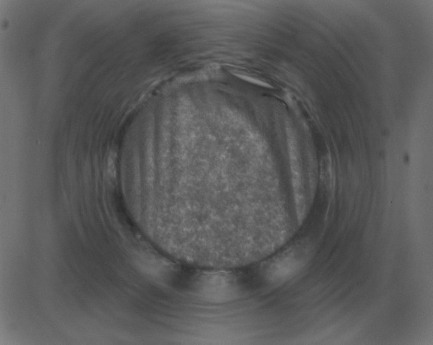 X0000081280127200702012228