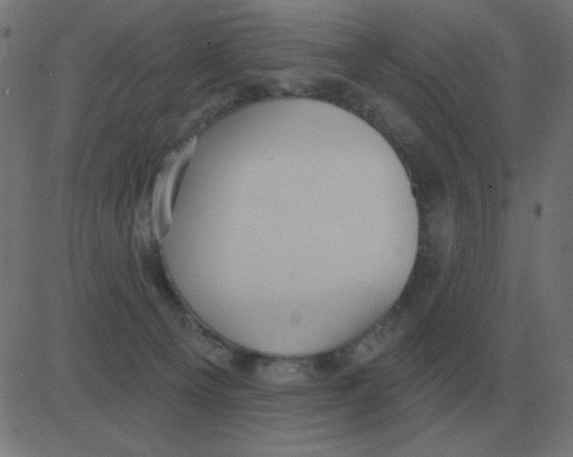 X0000081280129200702012228