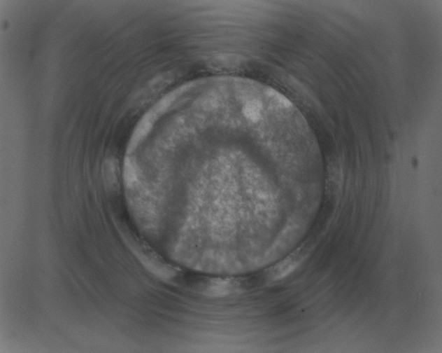 X0000081280130200702012228