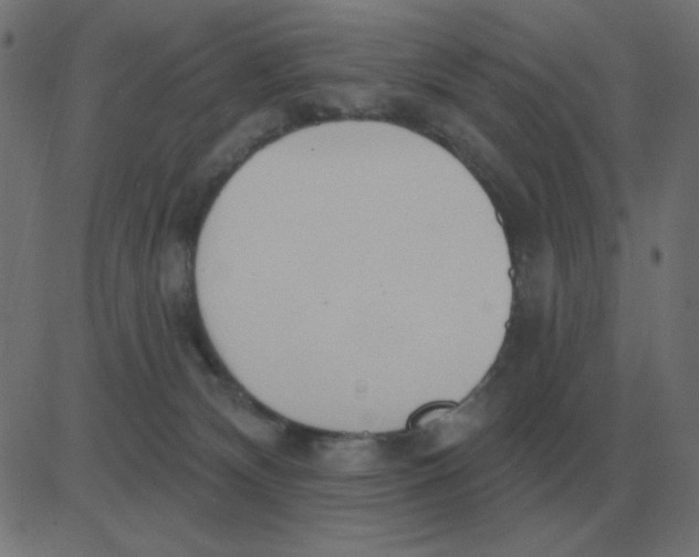 X0000081280132200702012228