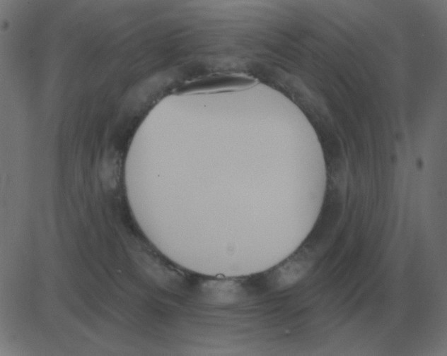 X0000081280133200702012228