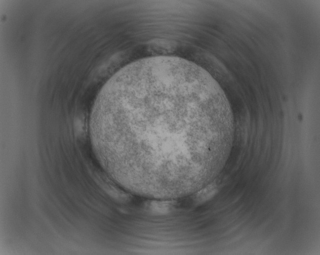 X0000081280134200702012228