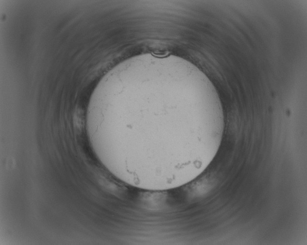 X0000081280135200702012228