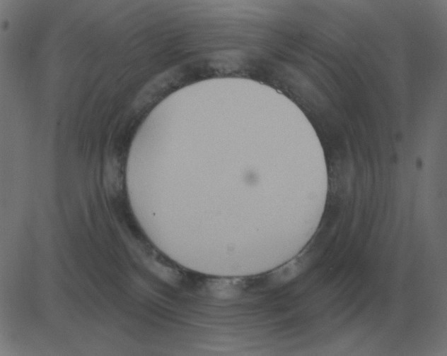 X0000081280136200702012228