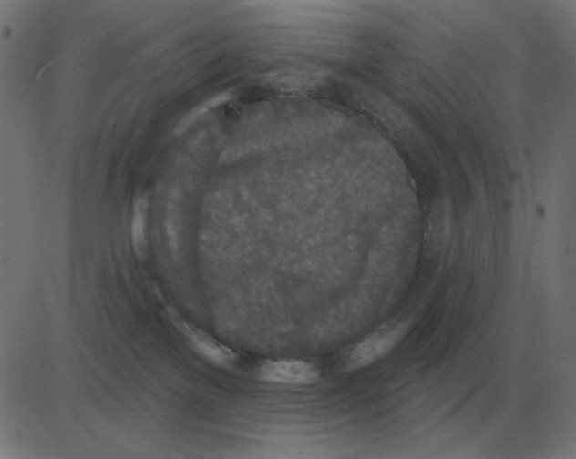 X0000081280137200702012228