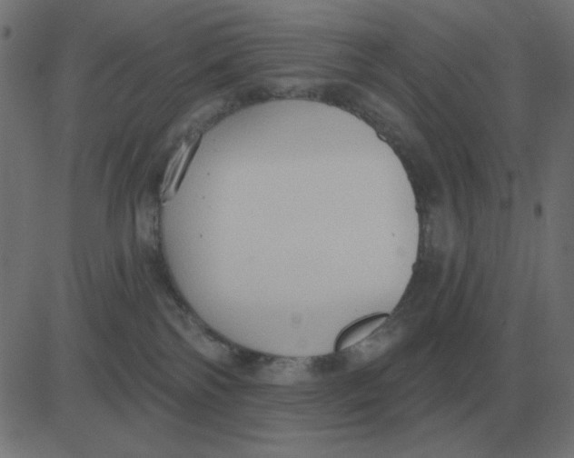 X0000081280138200702012228