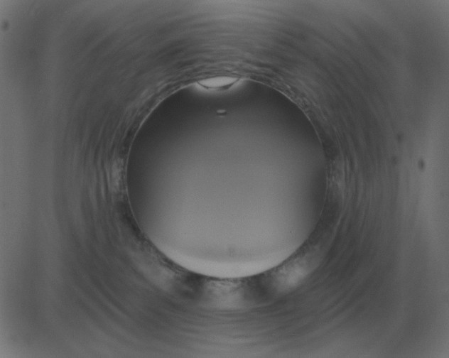 X0000081280139200702012228