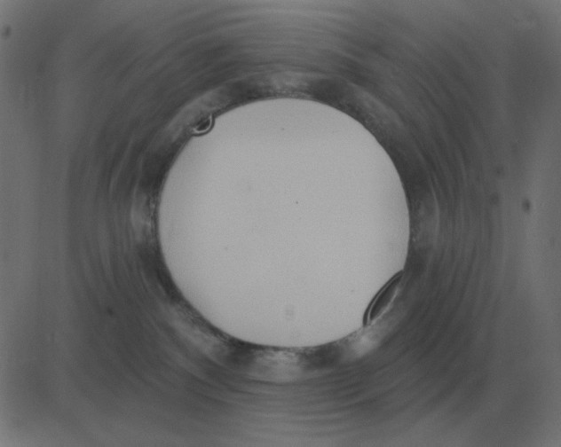 X0000081280140200702012228