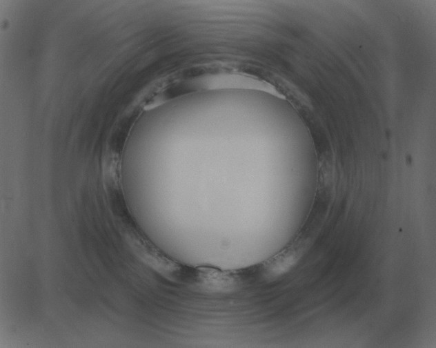 X0000081280141200702012228