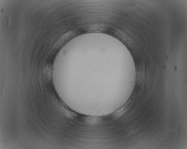 X0000081280142200702012228