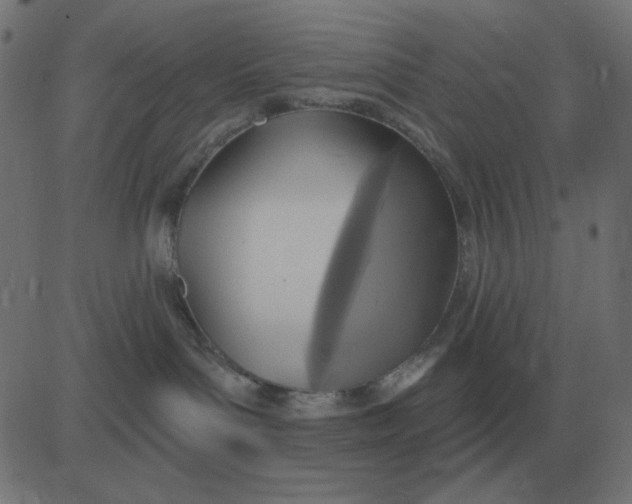 X0000081280143200702012228