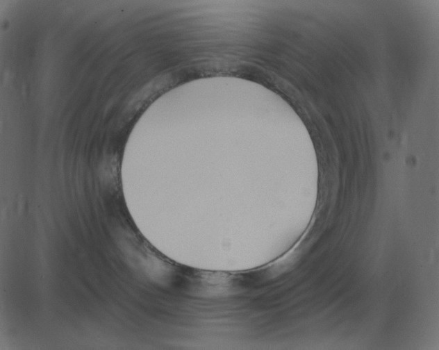 X0000081280144200702012228