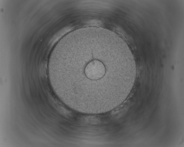 X0000081280146200702012227