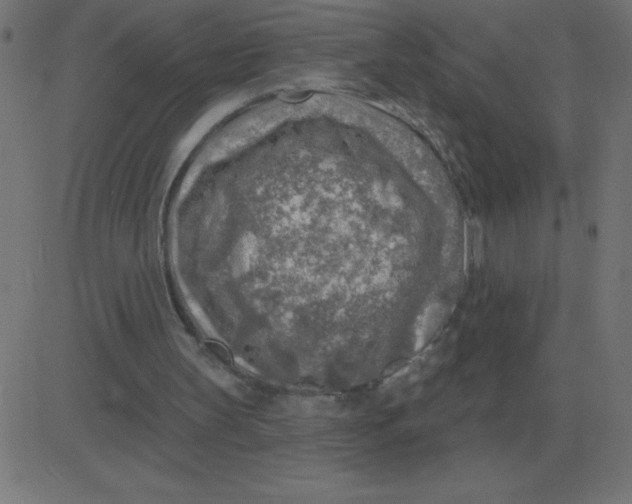 X0000081280147200702012227