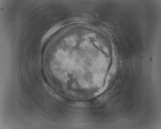 X0000081280149200702012227