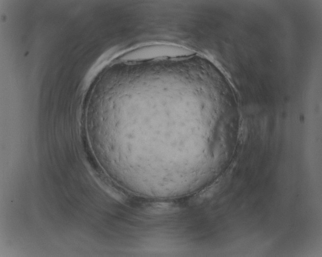 X0000081280151200702012227