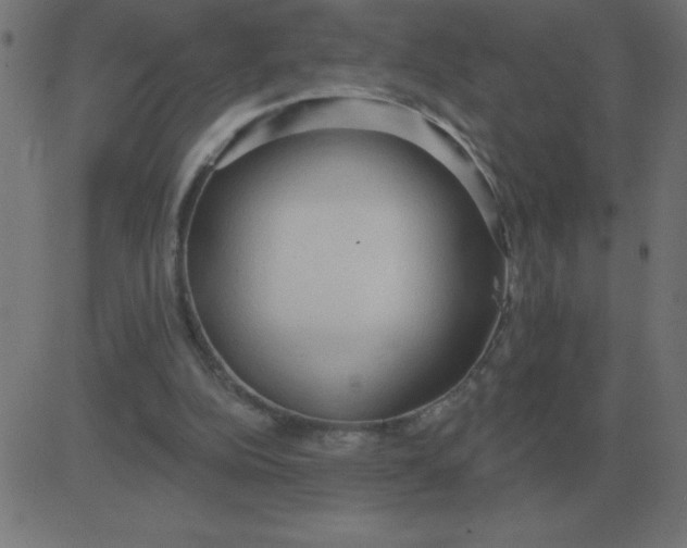 X0000081280152200702012227