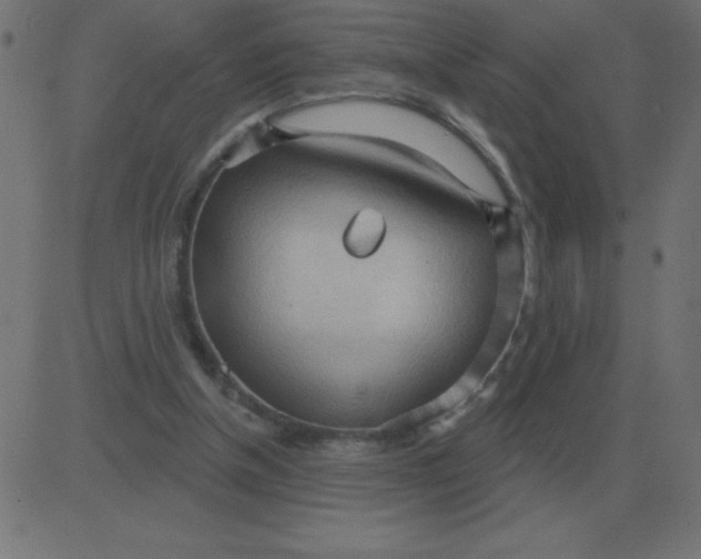 X0000081280154200702012227