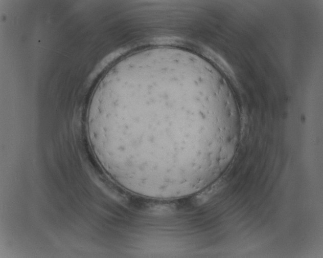 X0000081280155200702012227