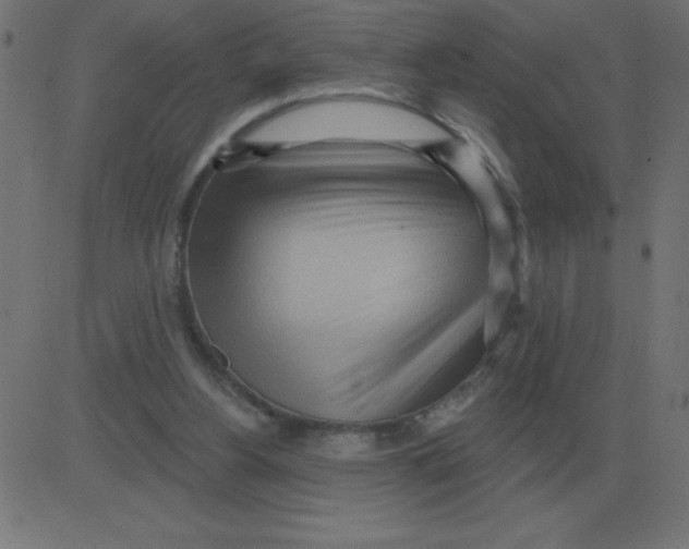 X0000081280156200702012227