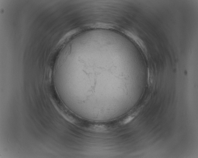 X0000081280157200702012227