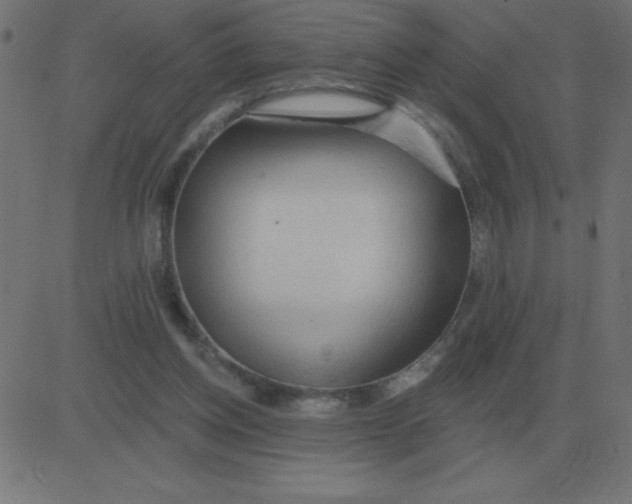 X0000081280158200702012227