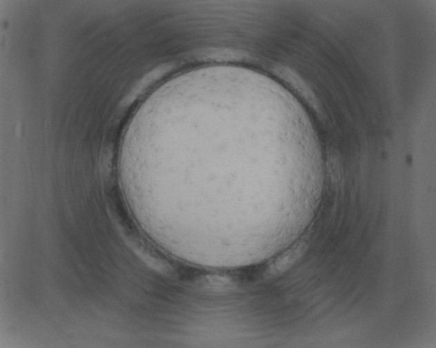 X0000081280159200702012227