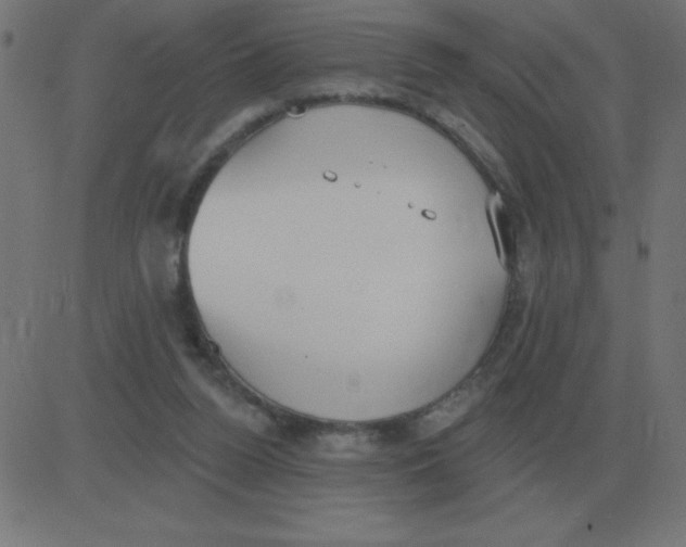 X0000081280160200702012227