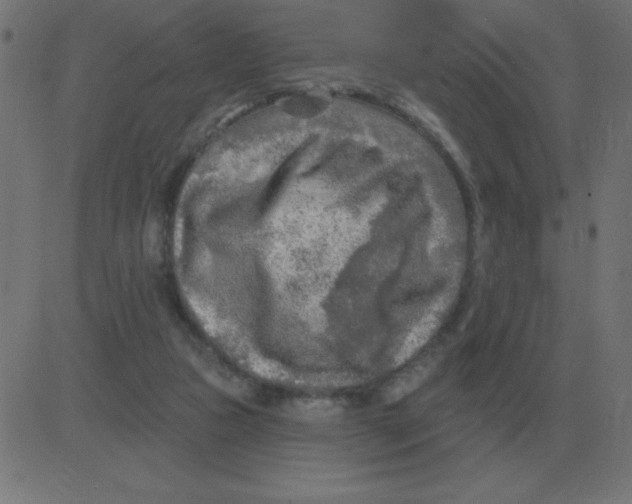 X0000081280161200702012227