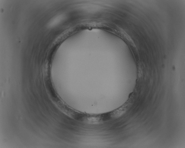 X0000081280163200702012227