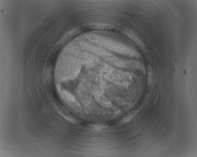 X0000081280165200702012227