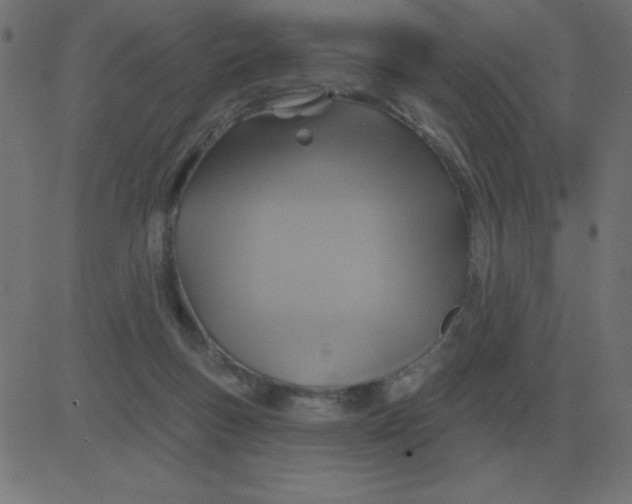 X0000081280167200702012227