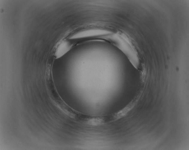 X0000081280168200702012227