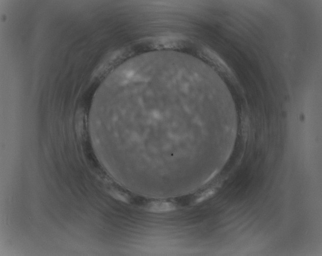 X0000081280169200702012227