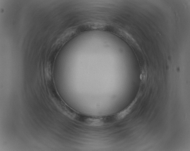 X0000081280170200702012227