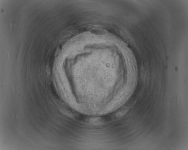 X0000081280173200702012228