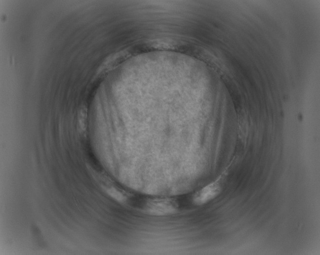 X0000081280175200702012228