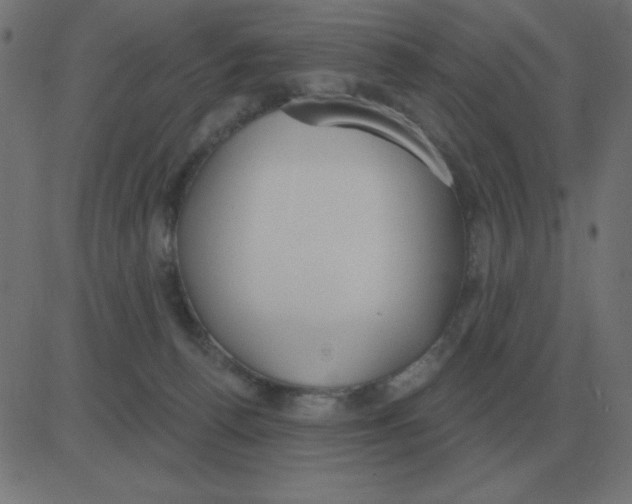 X0000081280176200702012228