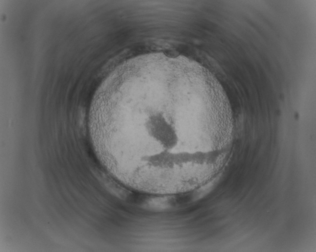 X0000081280178200702012228