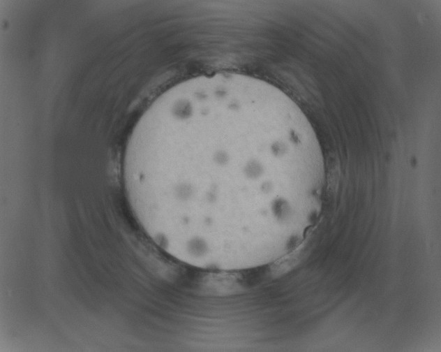 X0000081280179200702012228