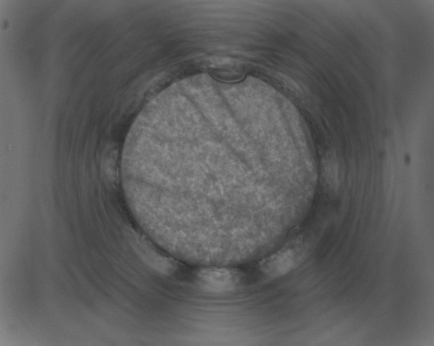 X0000081280181200702012228