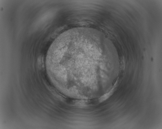 X0000081280182200702012228