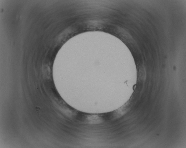 X0000081280183200702012228