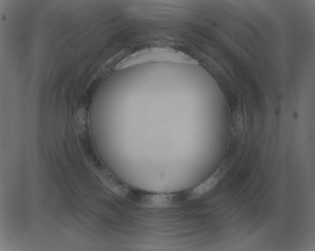 X0000081280184200702012228