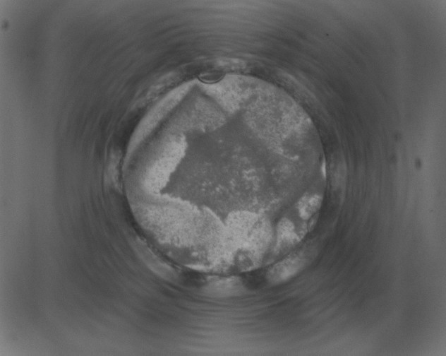 X0000081280185200702012228